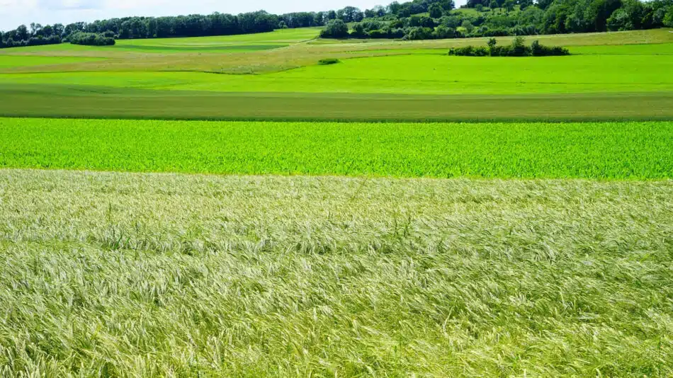 Quelques facteurs à considérer pour rechercher votre terrain constructible